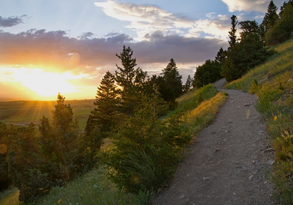 Hiking the Drinking Horse Trail around Bozeman, MT.