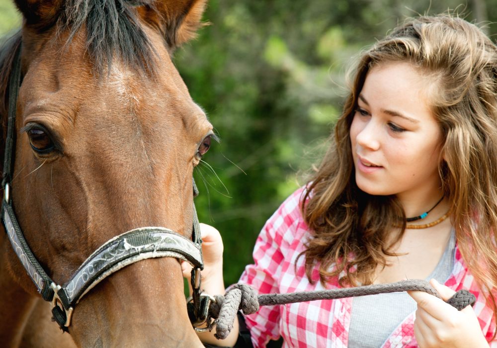 Close-up photo of a girl and a horse.