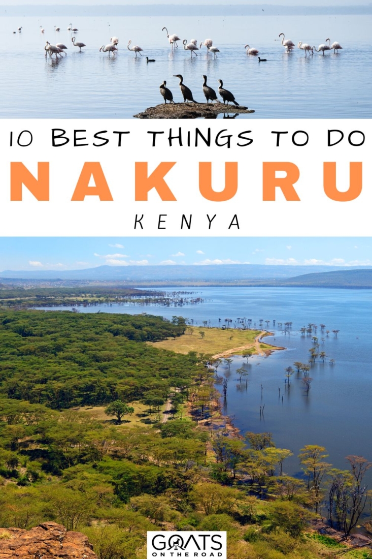 Looking for the best things to do in Nakuru, Kenya? This travel guide will show you the best attractions, activities, and places to visit in Nakuru! Start planning your itinerary and bucket list now! | #kenya #travel #bucketlist