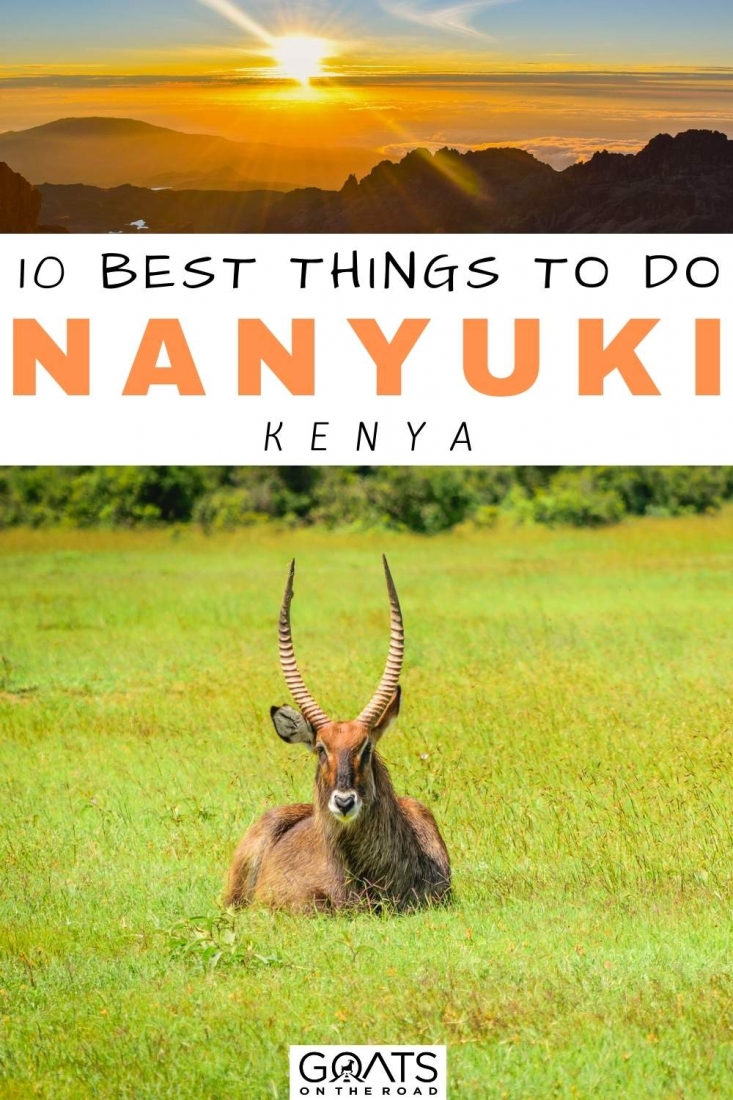 Looking for the best things to do in Nanyuki, Kenya? This travel guide will show you the best attractions, activities, and places to visit in Nanyuki. Start planning your itinerary and bucket list now! | #kenya #travel #bucketlist