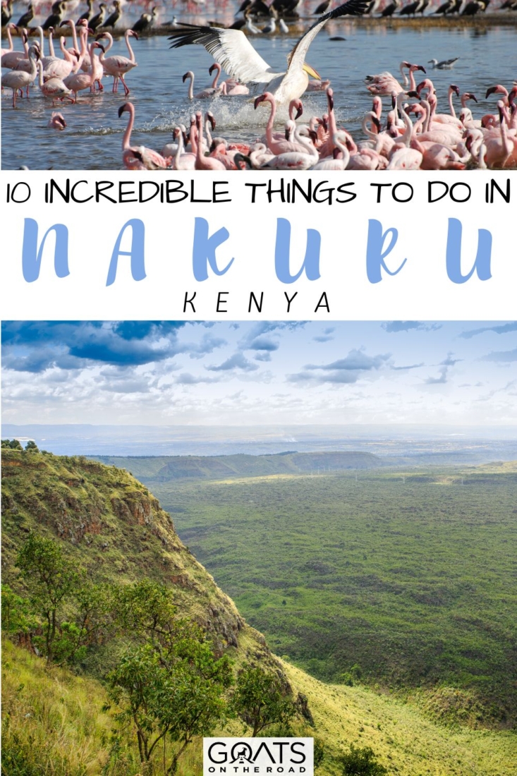 Traveling to the Rift Valley region of Kenya? Here are the 10 incredible things to do in Nakuru, Kenya, including places to explore such as Lake Nakuru National Park, Hyrax Hill Museum, Lord Egerton Castle, Naivasha Town, Njoro Caves, seeing flamingos at Lake Elementaita, and much more! Plan your trip to Kenya with this travel guide! | #visitkenya #wanderlust #visitnakuru