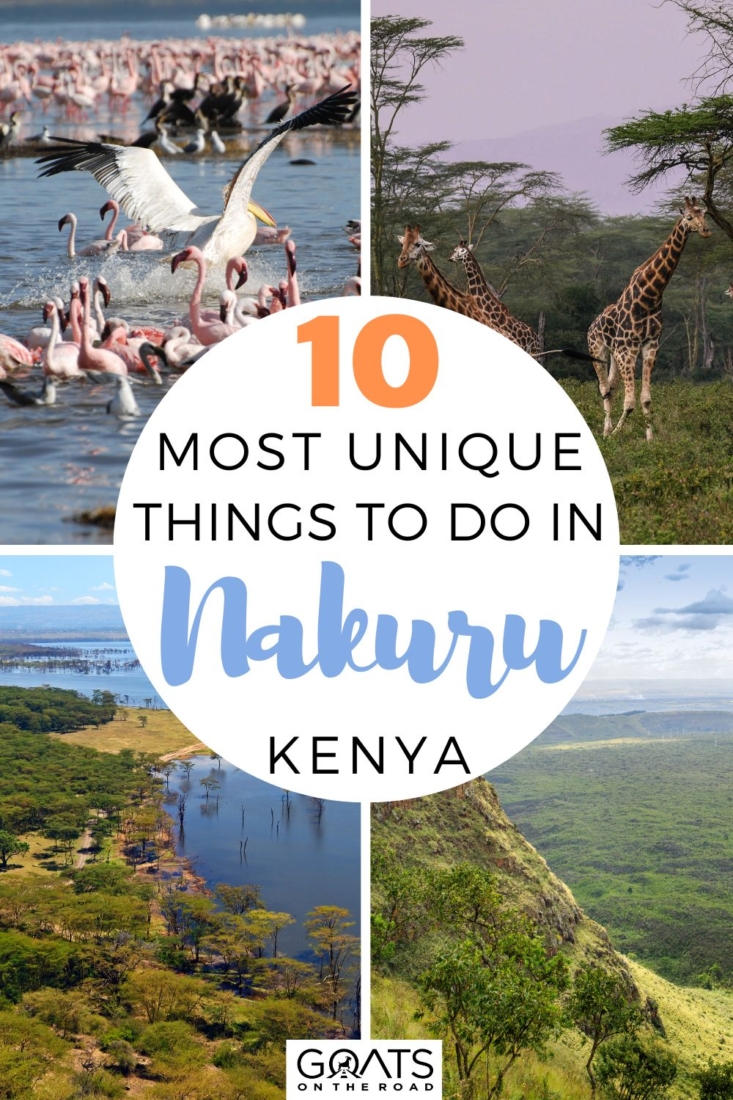 Are you thinking of visiting one of Kenya's most stunning cities but unsure of what to do? Here are 10 of the most unique things to do in Nakuru, Kenya!  If you're in Nairobi looking for a short holiday, Nakuru is ideal! Read on to find out why it should feature on your itinerary! | #nakuru #safari #traveltips