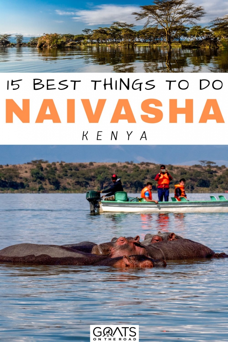 Are you heading to one of the popular stops on a Kenyan safari? Due to its proximity to a number of other attractions, here are the 15 best things to do in Naivasha! Read on to find out why it should feature on your itinerary! | #travel #kenya #naivasha