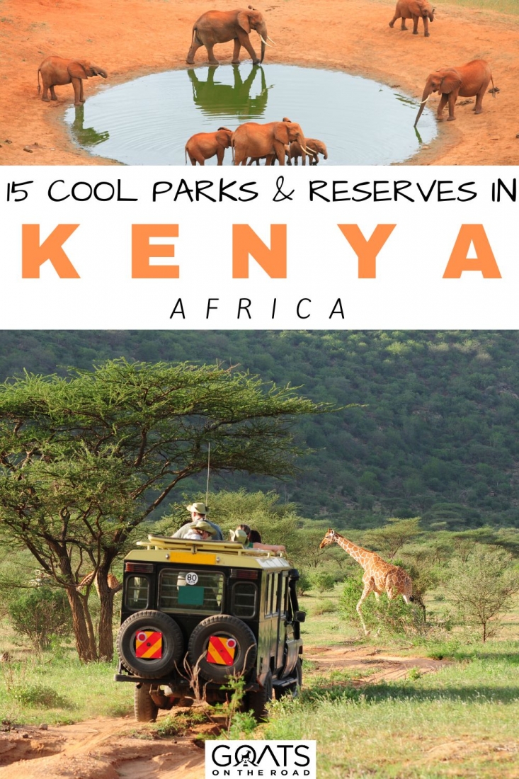 Planning a safari to Kenya? Discover these cool safari parks and reserves in Kenya for absolutely amazing wildlife views and experiences in a lot of places like national parks, game reserves, marine parks and reserves, and sanctuaries! From Lake Nakuru National Park, to Nairobi National Park, to Sibiloi National Park, and so much more! | #safari #kenya #wildlife