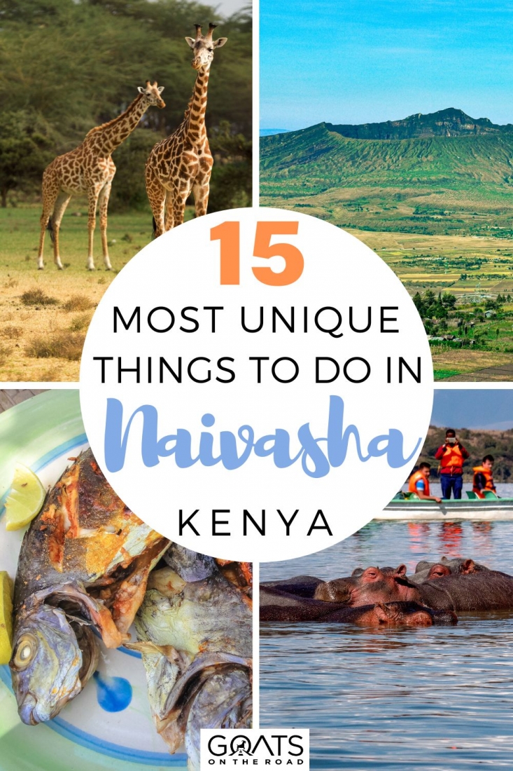 Are you preparing for your trip to Kenya? Here are the 15 most unique things to do in Naivasha, Kenya! It has many popular attractions, including Hell's Gate National Park, Lake Naivasha, Crater Lake Game Sanctuary, Lake Oloiden, and Olkaria Geothermal Spa, making it well worth a visit! Find out how to make the most of your time in Naivasha in this detailed guide! | #visitkenya #wanderlust #traveltips