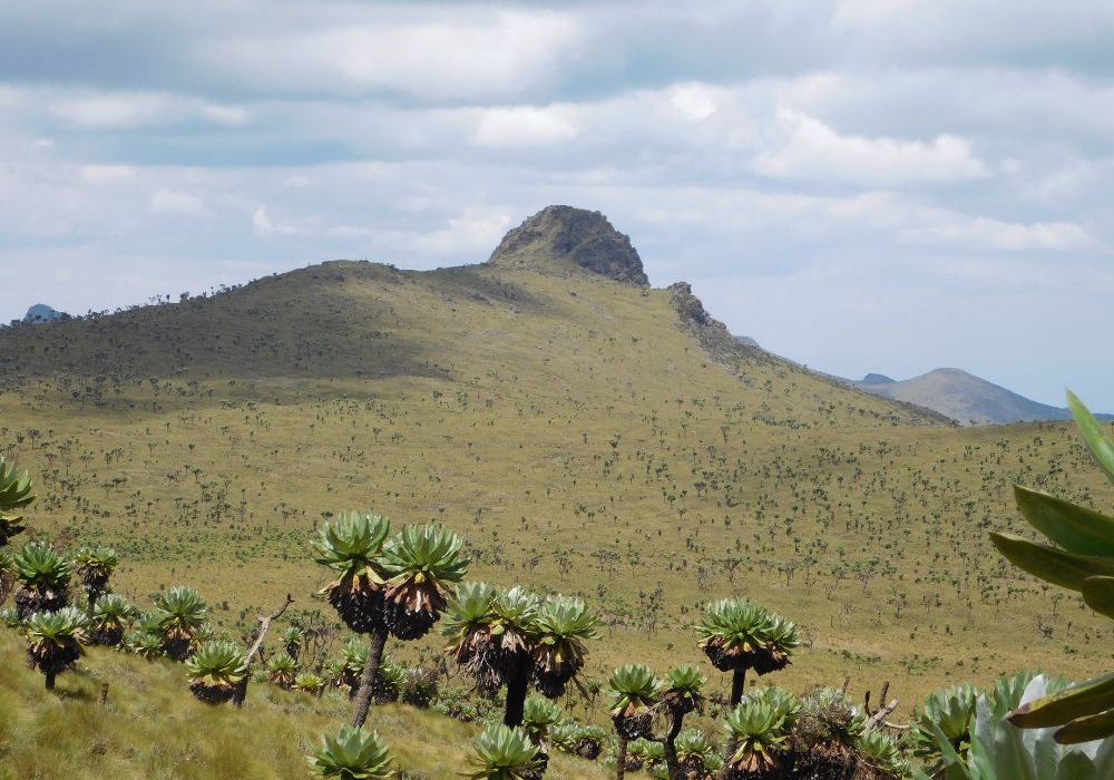 Beautiful views from Rurimeria Hill, Aberdare Ranges in Kenya.