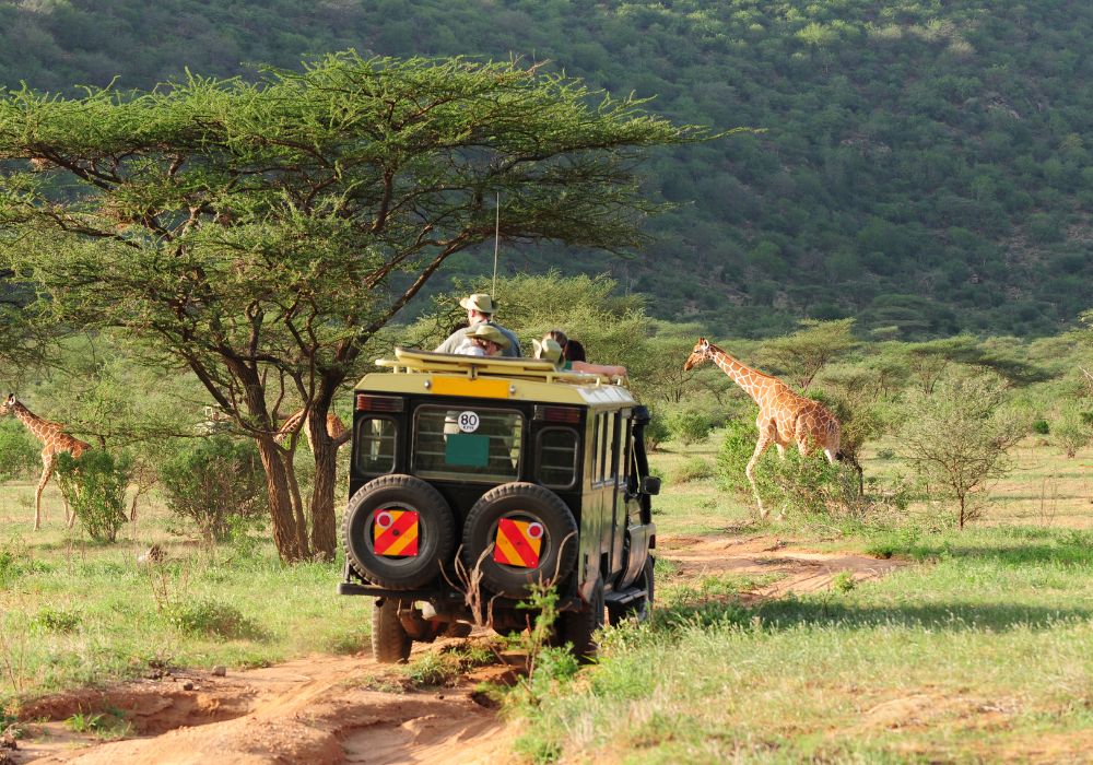 Animals in the wild in Samburu National Park.