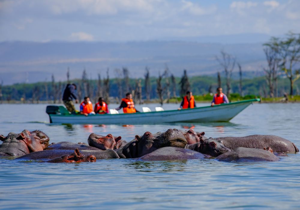 A boat trip around Lake Naivasha.