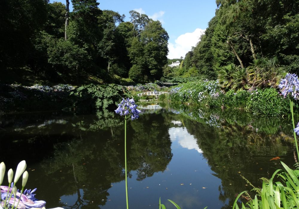 Reflection in the lake at Trebah Gardens, Cornwall.