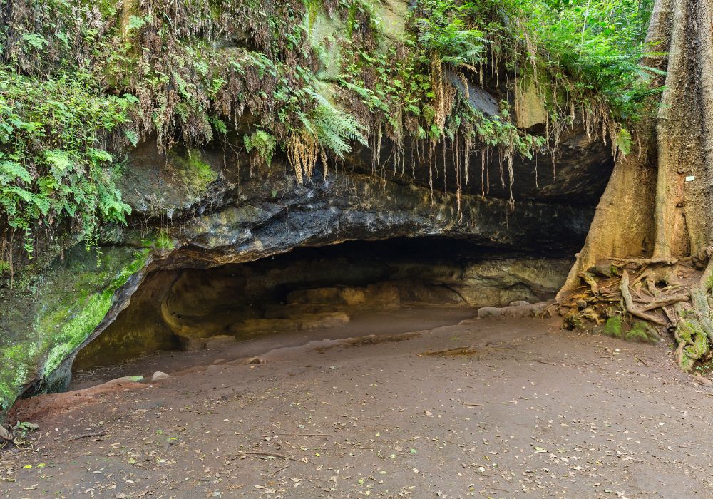 Mau Mau Caves hidden in Karura forest in Nairobi, Kenya.