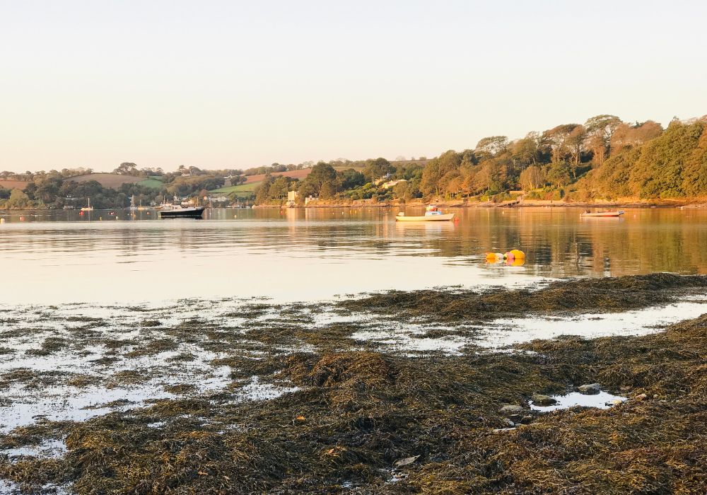 Restronguet Point can be seen from the magnificent Loe Beach at low tide.