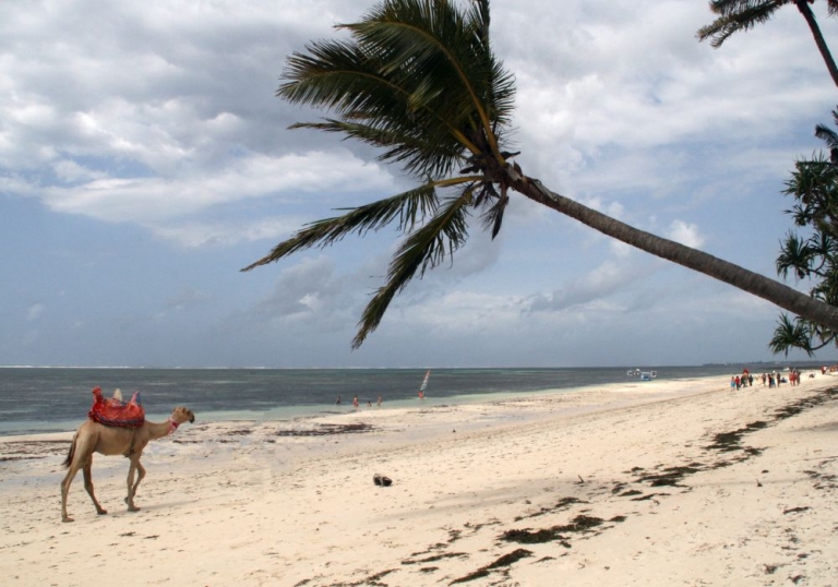15 Best Things To Do in Mombasa - Goats On The Road