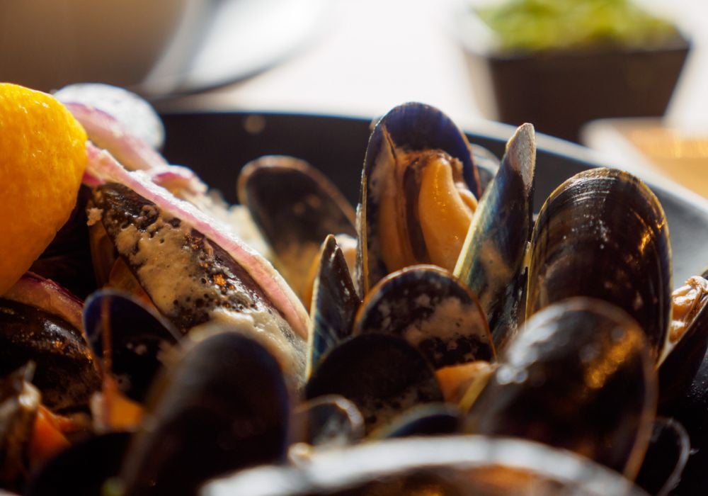 A close-up macro detail of a bowl filled with freshly steamed cream mussels at a seafood restaurant.