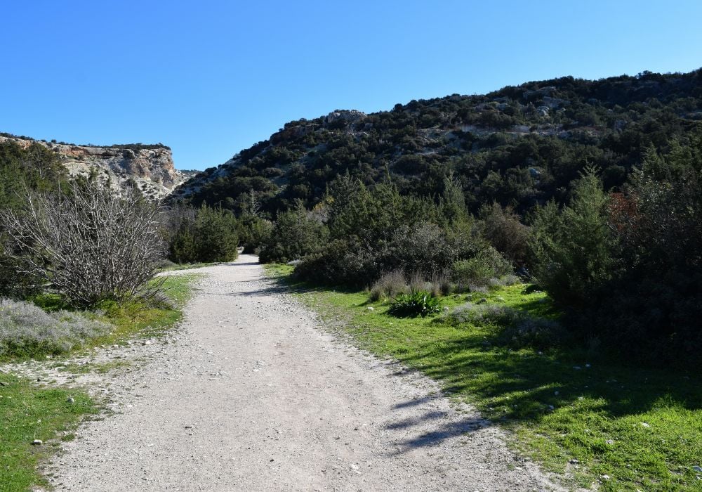 The beautiful Avakas Gorge trail in Cyprus.