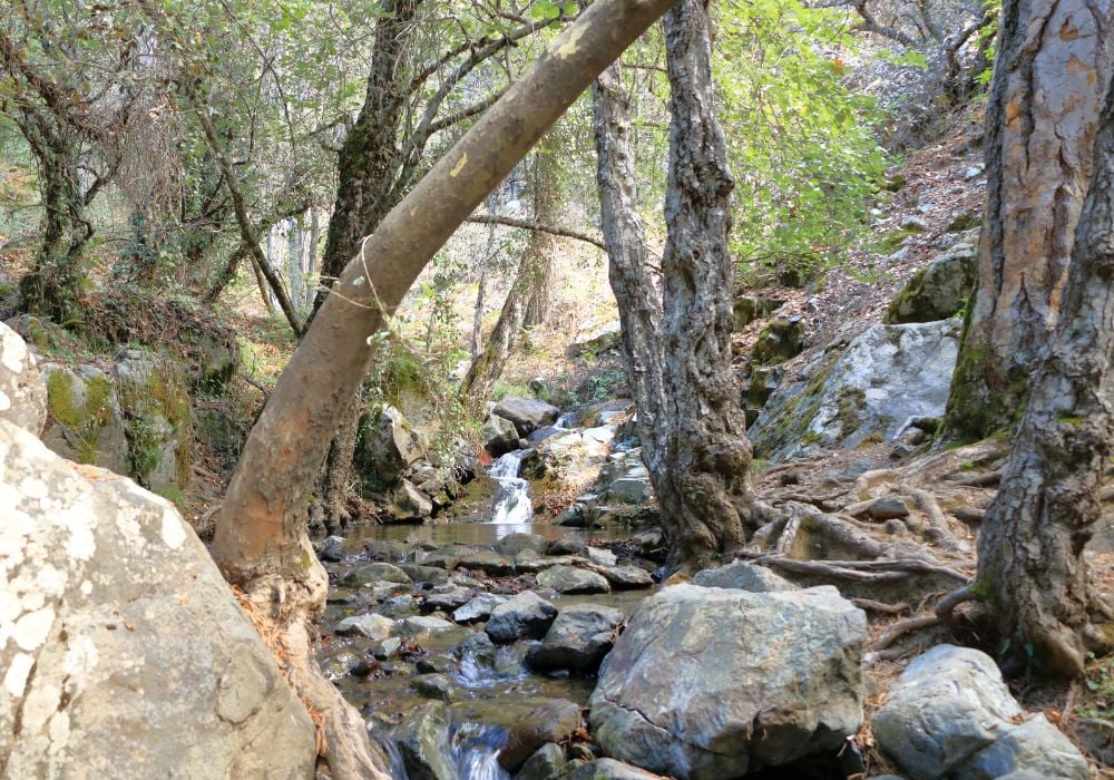 Caledonia waterfall trail in the troodos mountains in cyprus