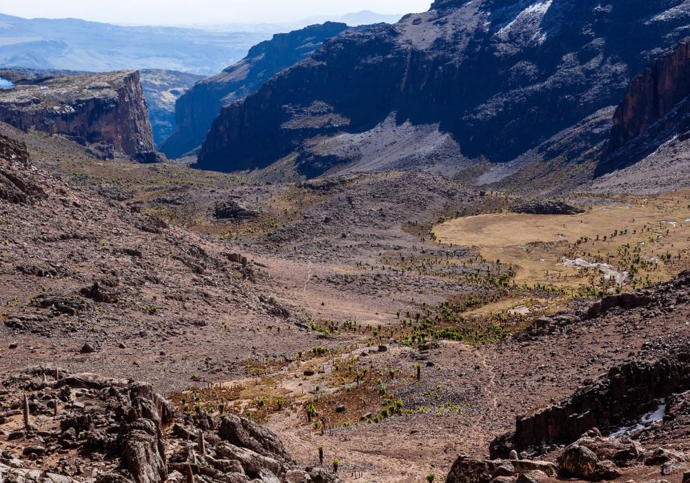 Treeking route in the beautiful Mount Kenya National Park