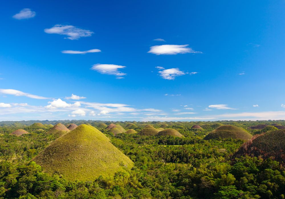 The beautiful scenery of Bohol Chocolate Hills during summer is a natural landmark in the Philippines 