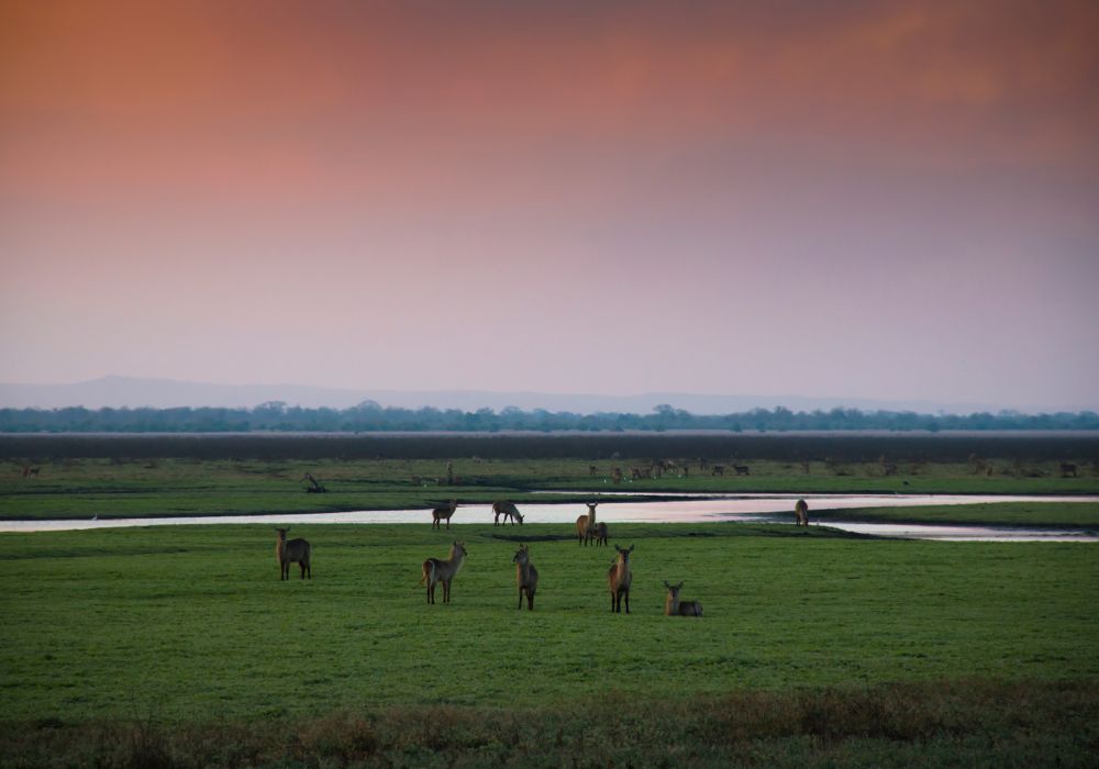 Sunset over Gorongosa National Park with some wildlife roaming in the center of Mozambique