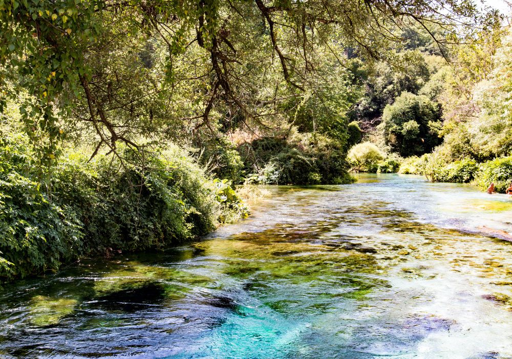 A beautiful freshwater spring surrounded by lush greenery