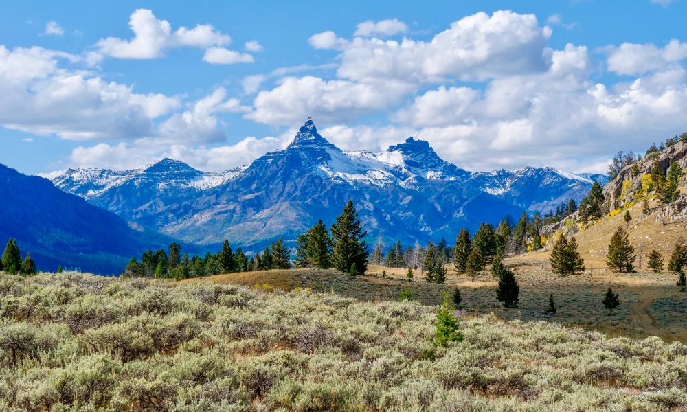 A view of the Beartooth Mountains with snowcapped mountains in the background and hiking area in the foreground.