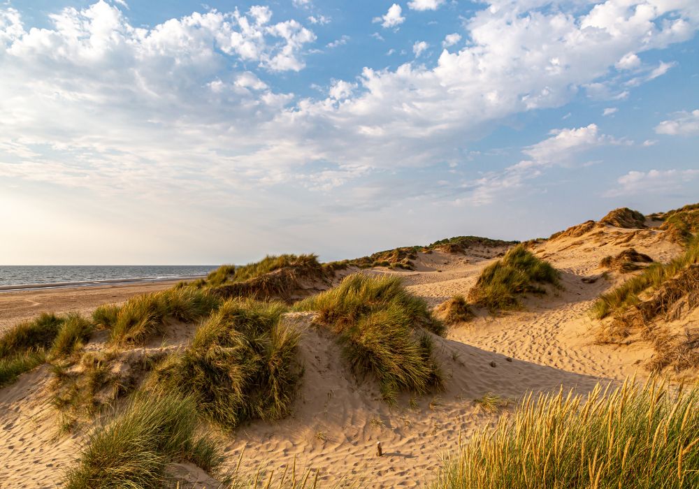 Looking out over sand dunes towards the beach at Formby in Mersseyside.