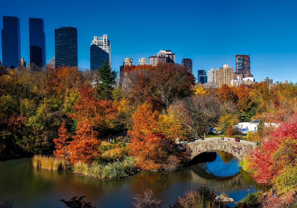 A stunning view of Central Park, New York.