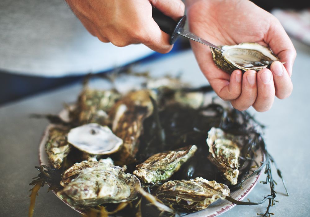 shucking oysters