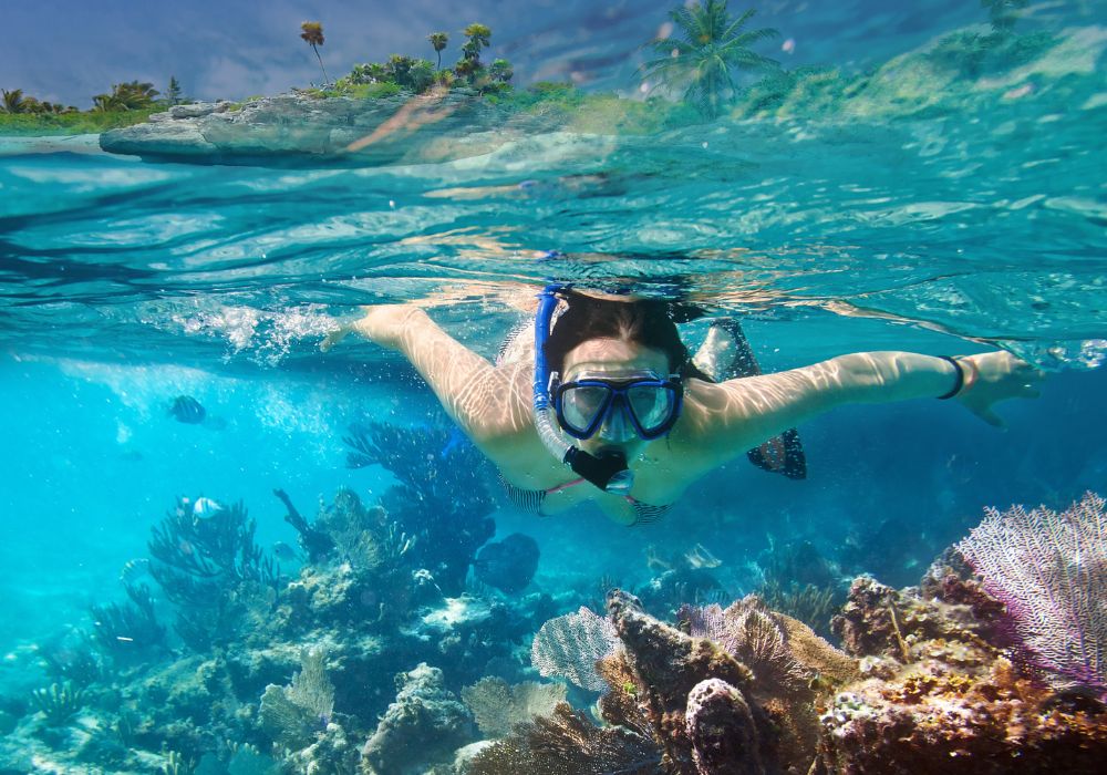 snorkeling trip isla mujeres woman snorkeling underwater with coral