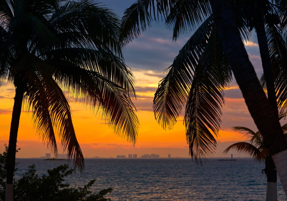 sunset on isla mujeres mexico with palm trees and sea