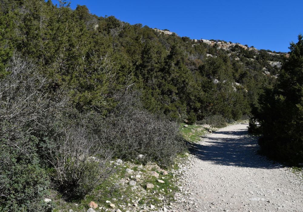 avakas gorge trail with no one on it