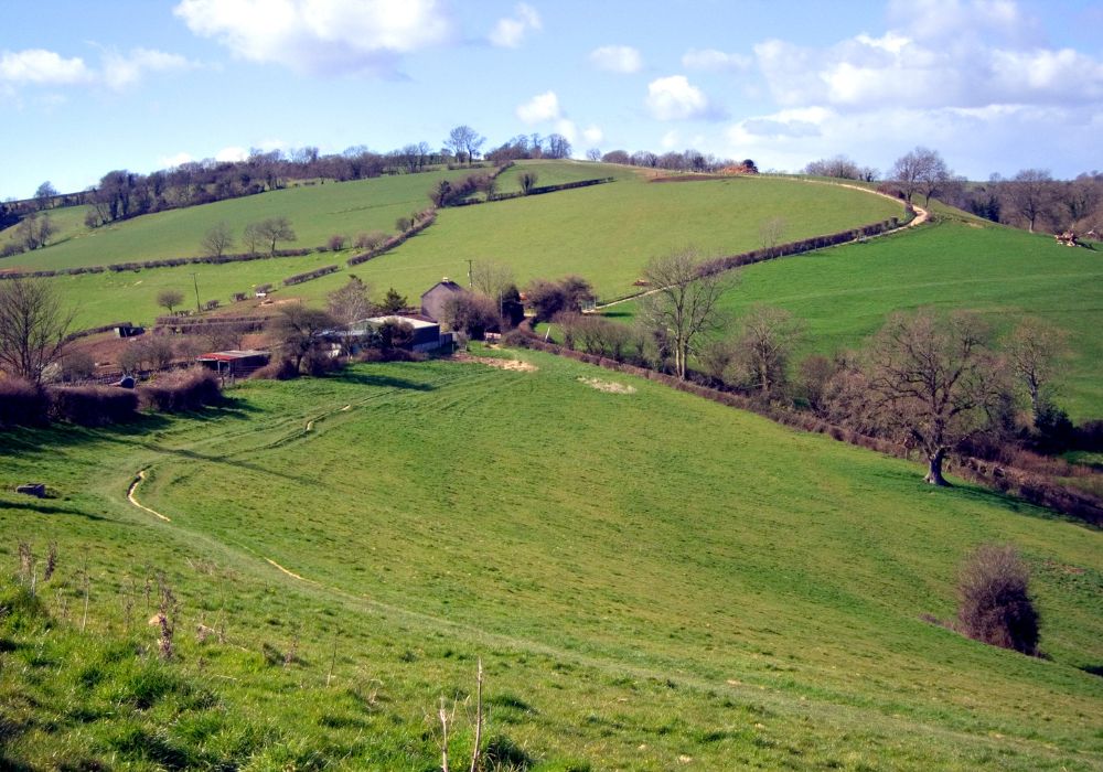 green rolling hills in the cotswolds with trees and homes