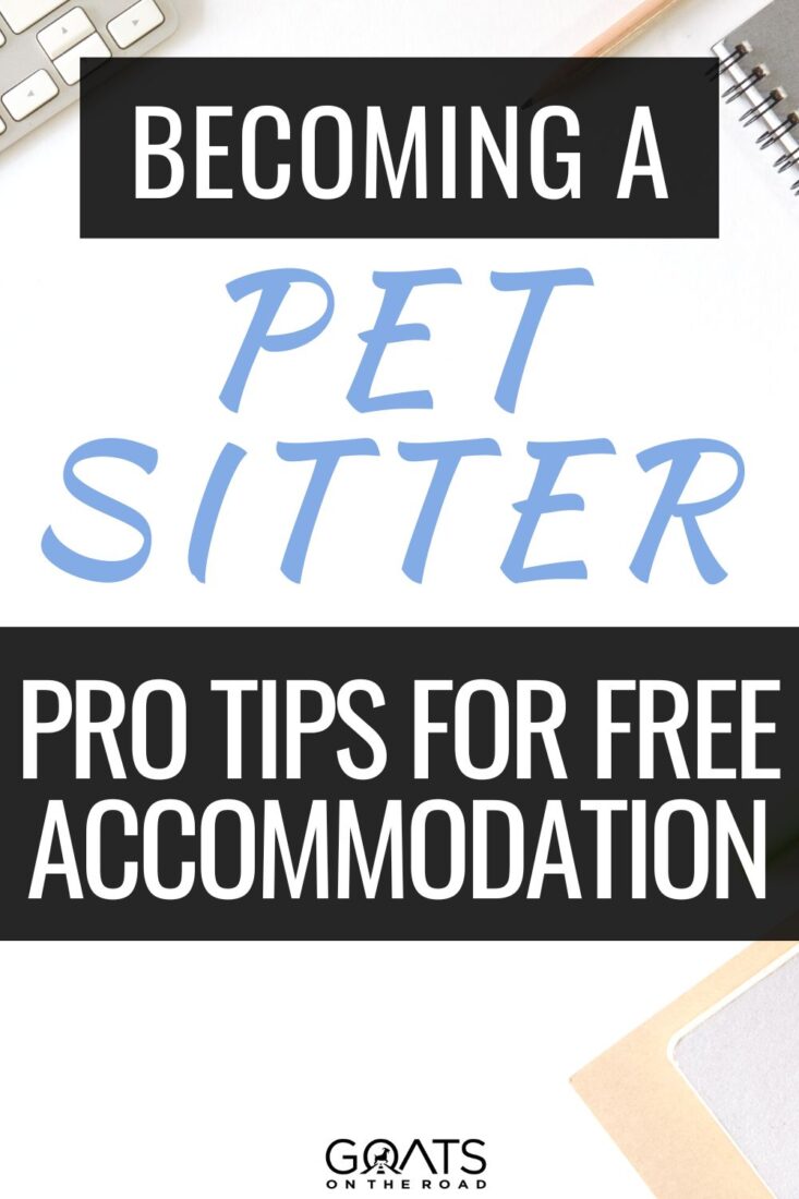 Want to spend your days surrounded by wagging tails and happy purrs? Discover how to become a pet sitter and create a meaningful impact on the lives of pets and their owners. Learn the ropes of pet care, business setup, and client management to build a successful pet sitting venture. | #UnleashYourPotential #PetSitter #PetSitting