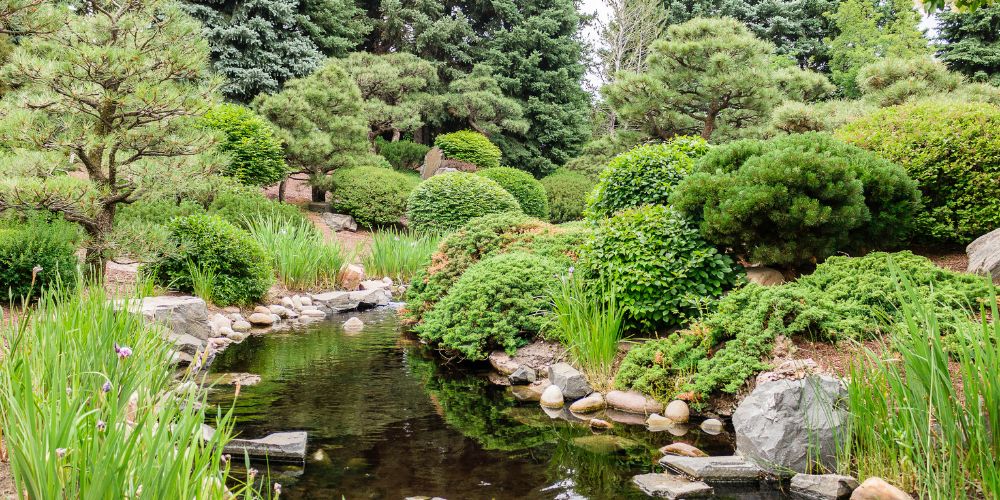 Lush landscape in the Denver Botanic Gardens