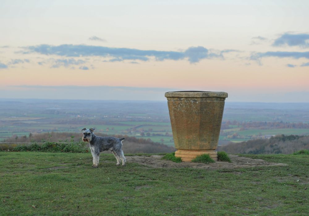 The breathtaking view of Dover's Hill in Broadway, Cotswolds