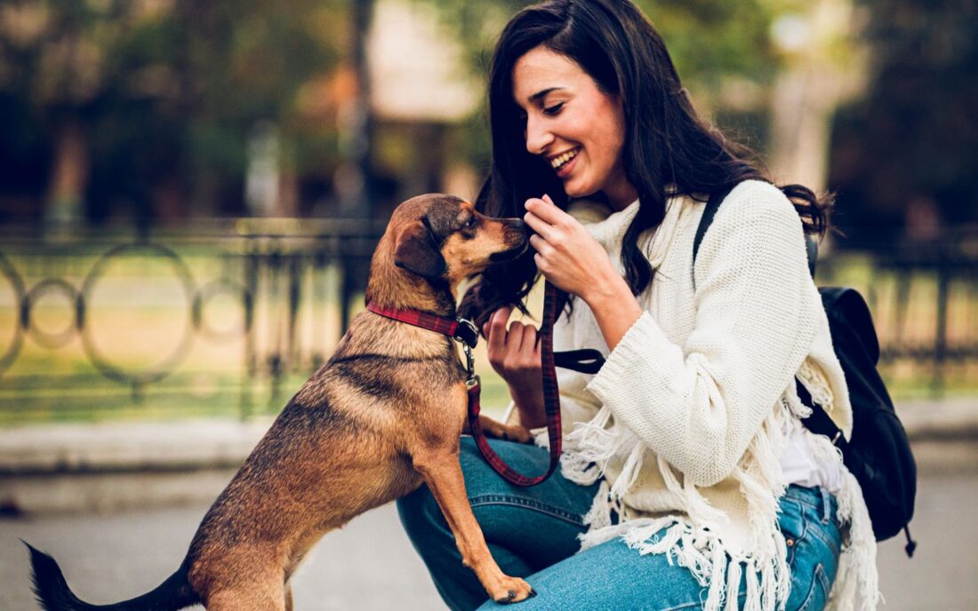 A heartwarming moment between a pet sitter and her furry friend - this cuddly duo is proof of the joys of pet sitting!