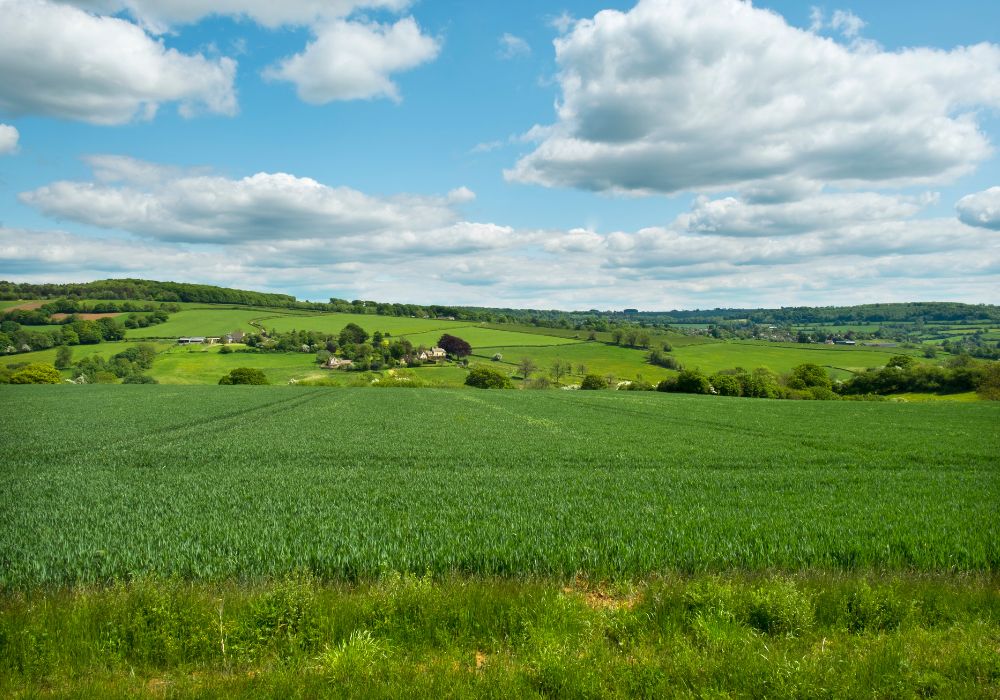 Spring landscape near Painswick Beacon, UK