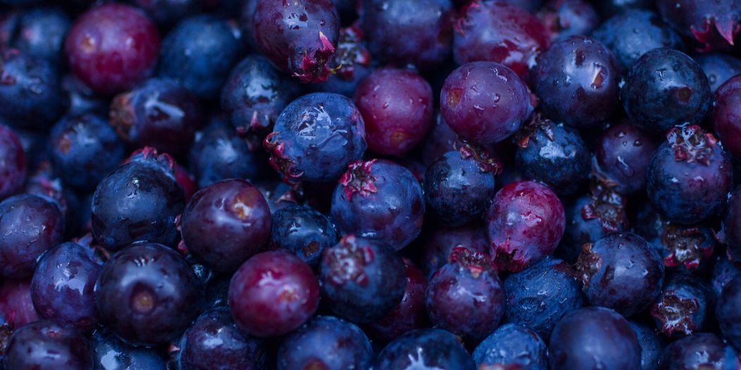 lots of huckleberries in a pile in montana