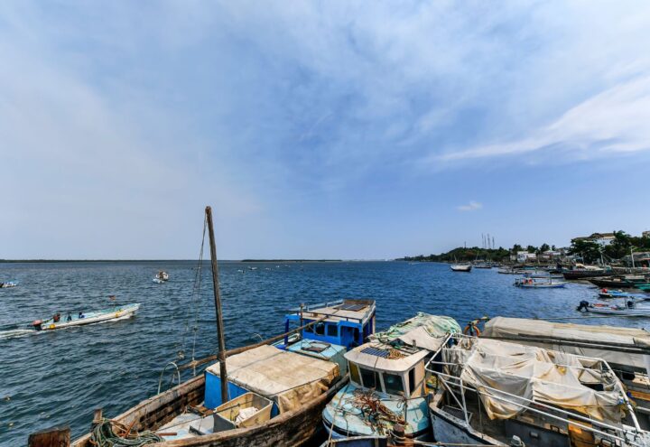 things to do in lamu kenya dhow boats on the sea