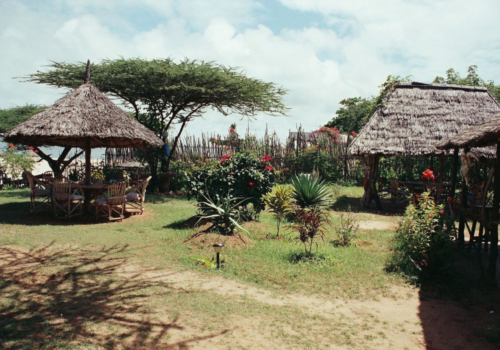 thatched roof structures with chairs restaurant lamu