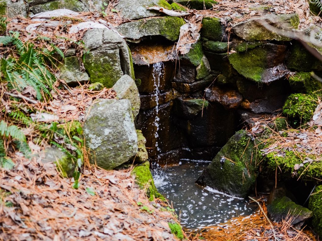 small pond with rocks at the sarah p duke gardens