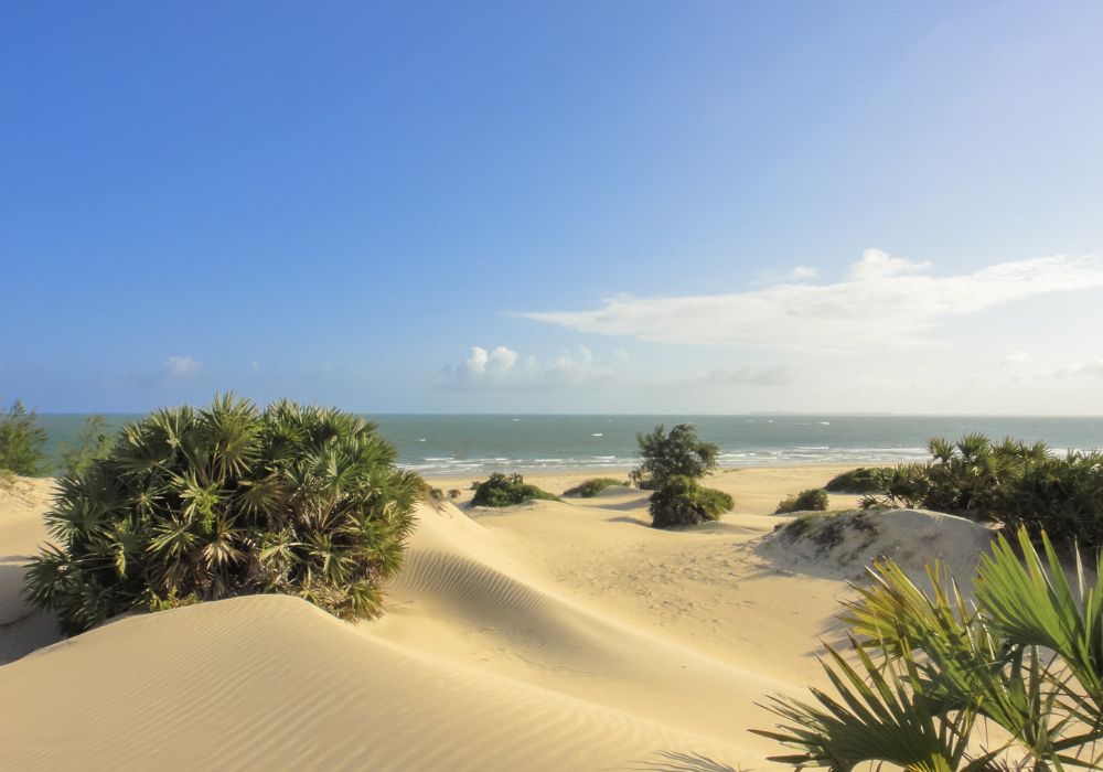 sand dunes at shela beach in lamu