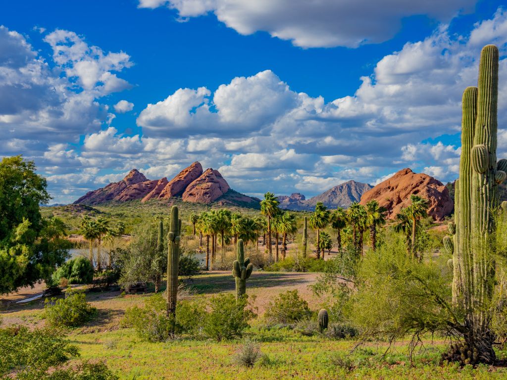 sonoran desert with cliffs and cactus and blue sky