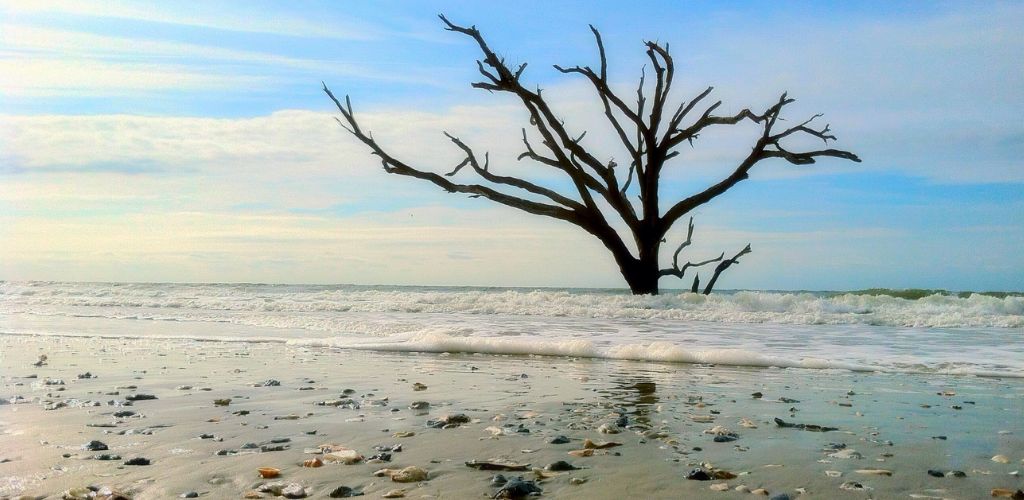 Botany Bay Beach
