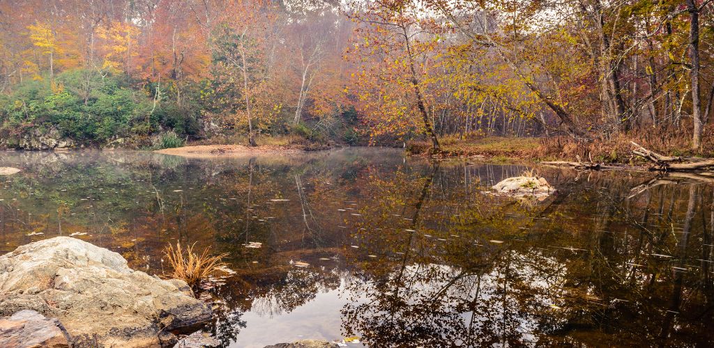 Early morning view of Eno River State Park