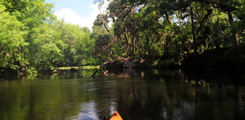 A photo of Hillsborough River State Park
