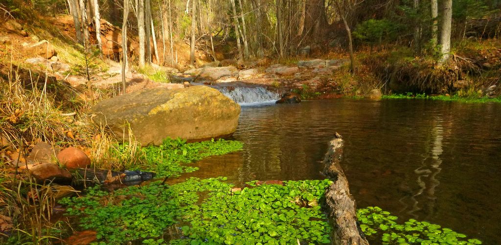 Horton Creek in Payson AZ