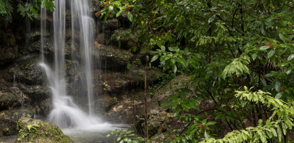 Rainbow Spring Falls