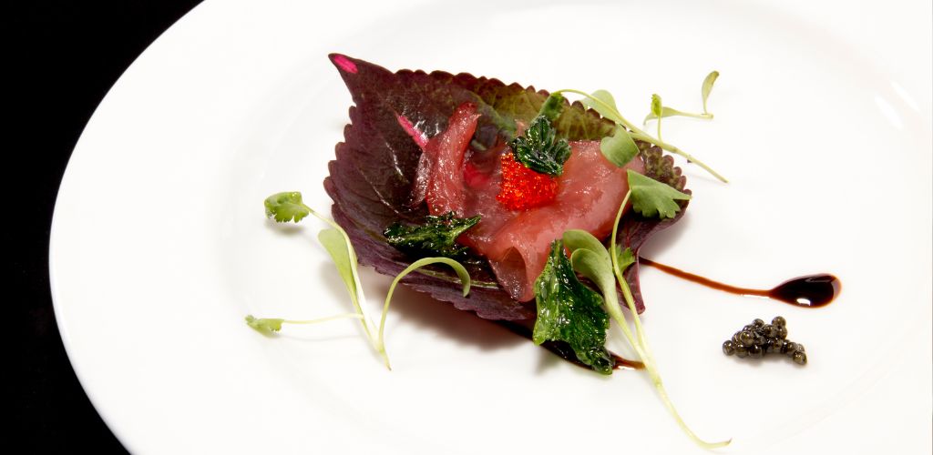 A delicious  Tuna Crudo
