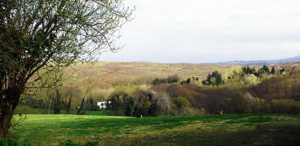 A green hill and a green field. 