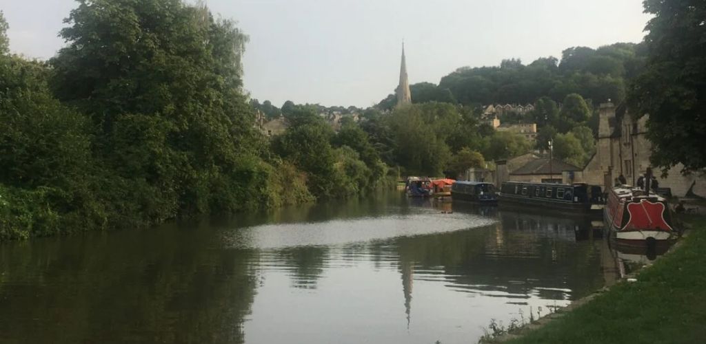 A lake surrounded by green plants, with boats on the side and an old city in the distance. 